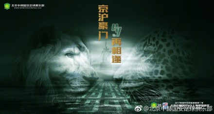 gay互操网站