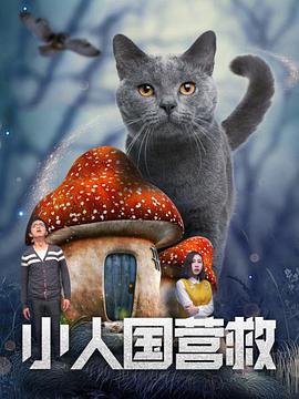 岛国电影在线观看