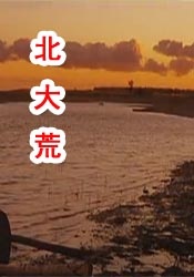 日韩av站