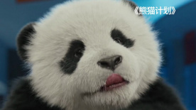 猎奇视频在线观看
