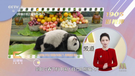 国产国拍亚洲精品永久不卡